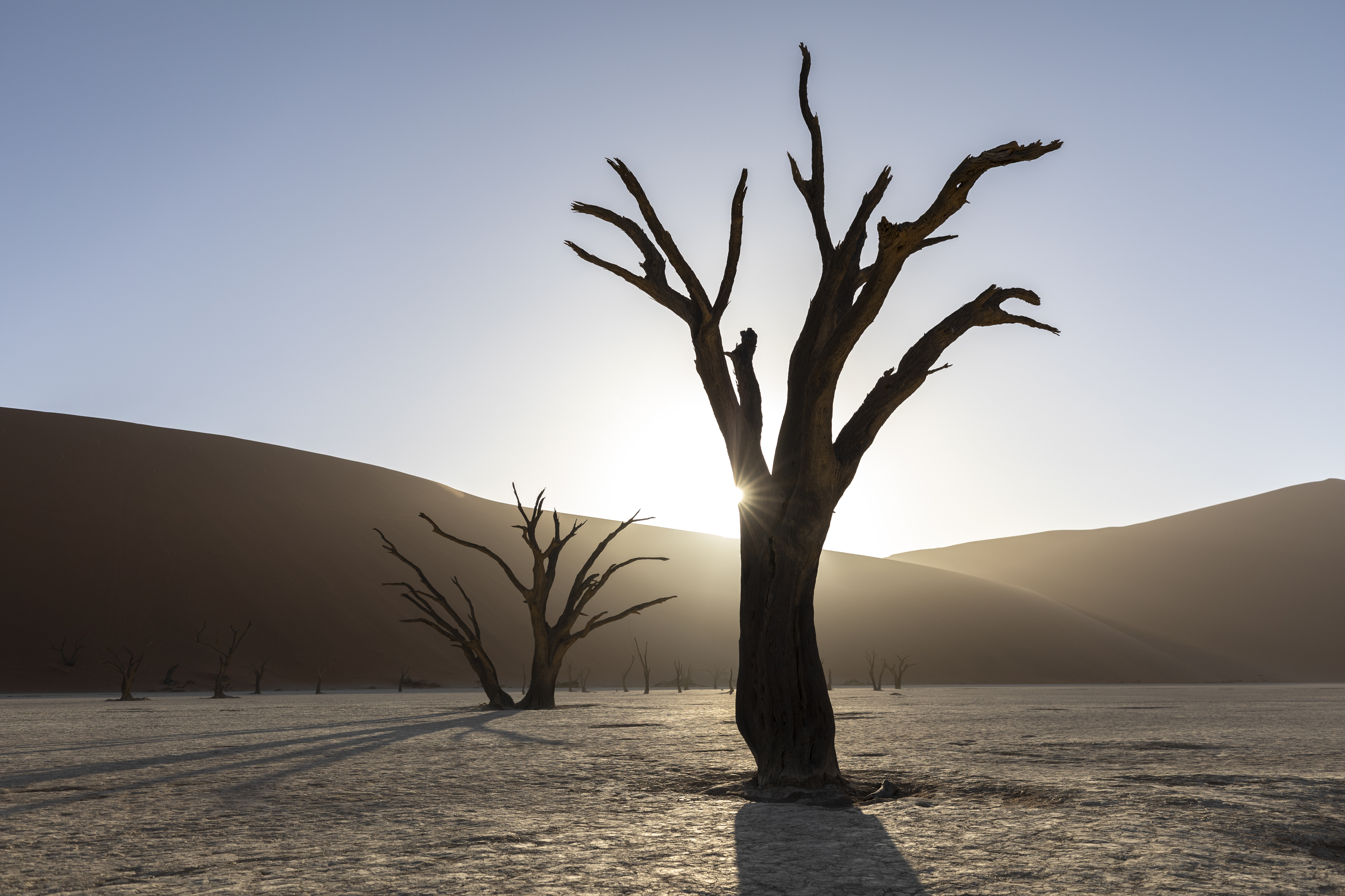 namibia-7714